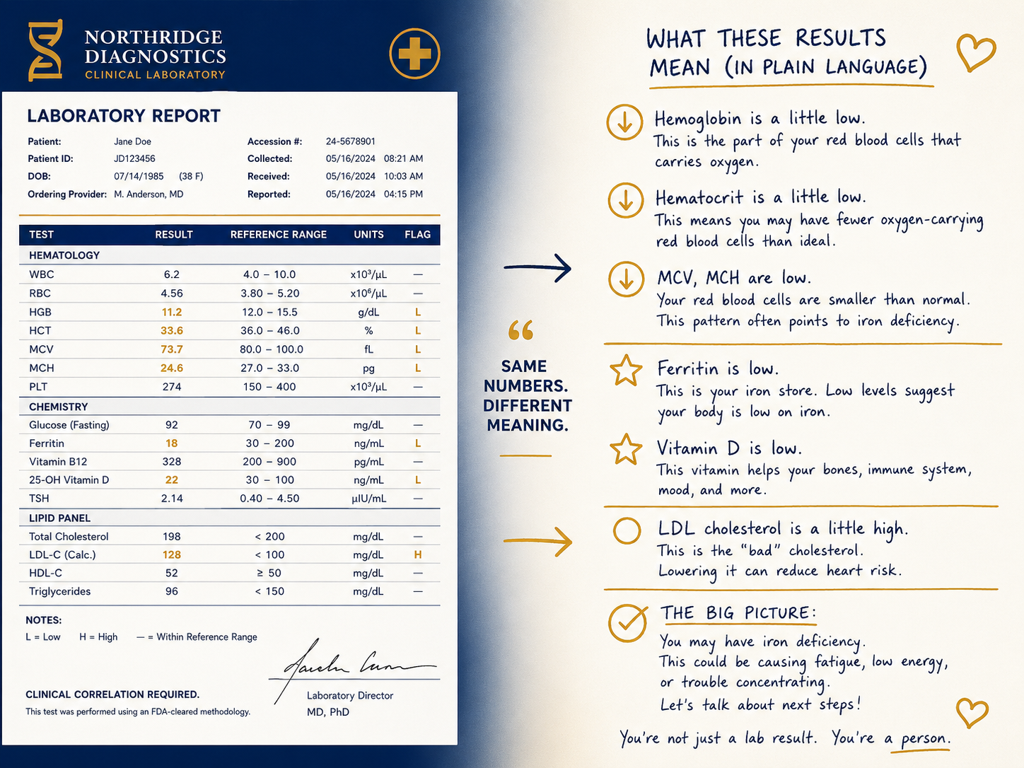Lab report showing blood test results alongside plain-language explanations generated by AI blood test interpretation
